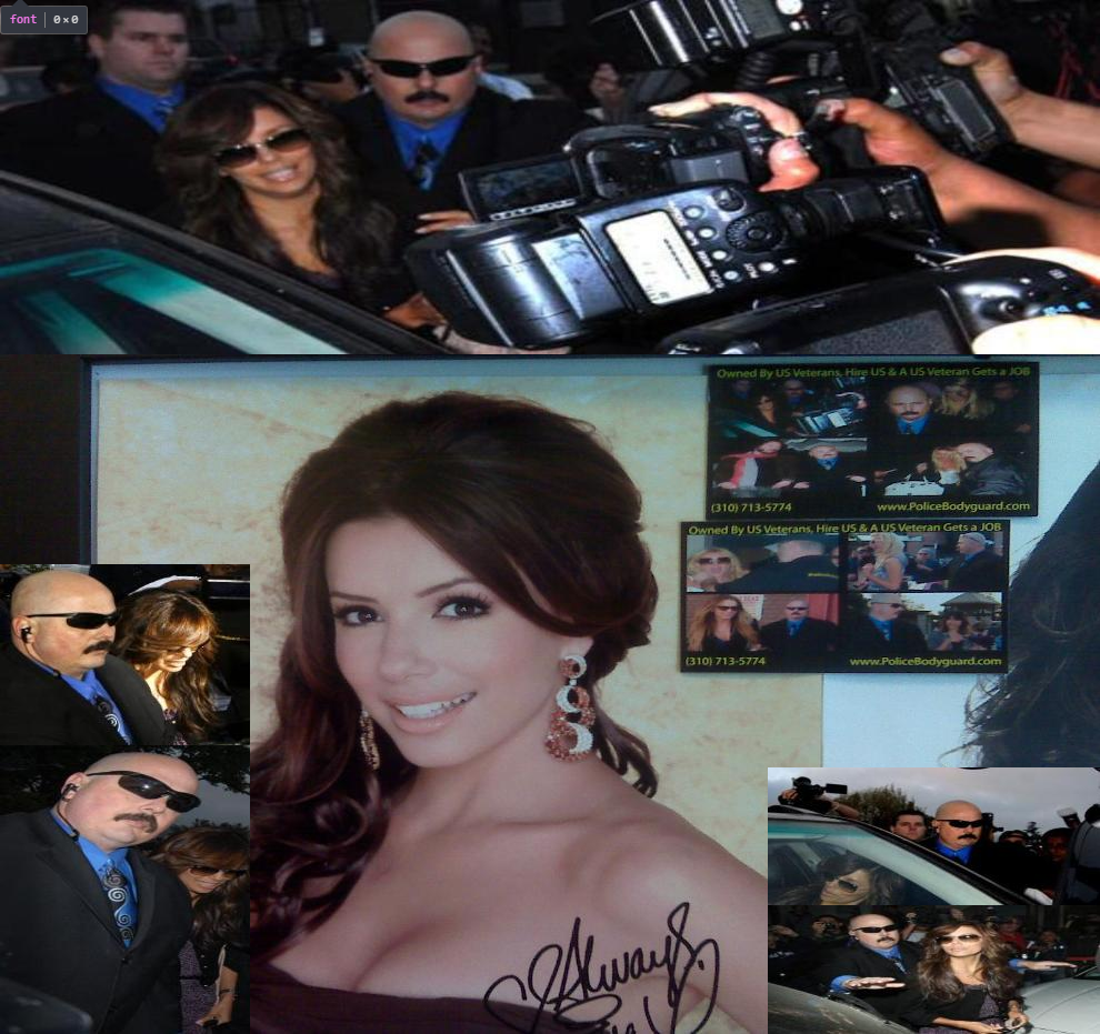 bodyguard10
