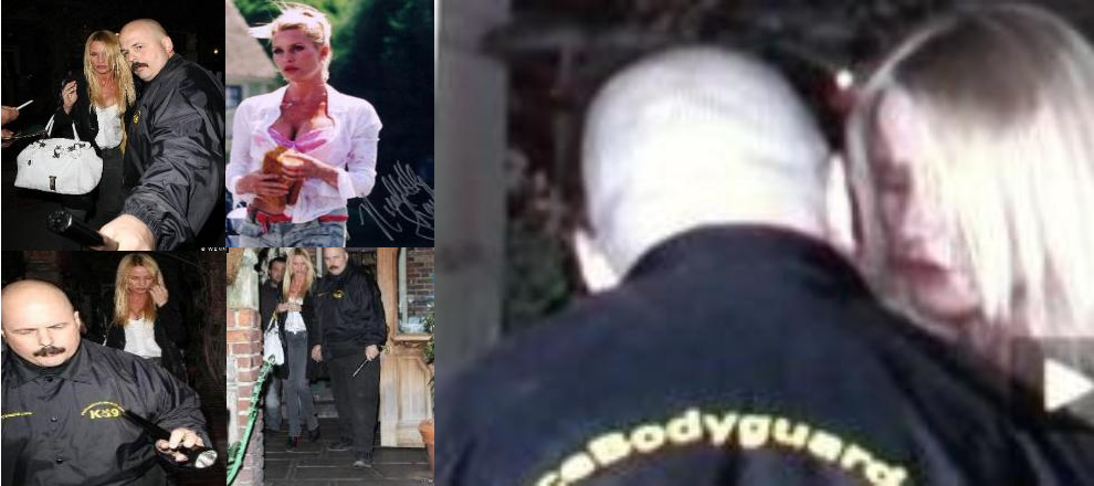 bodyguard3