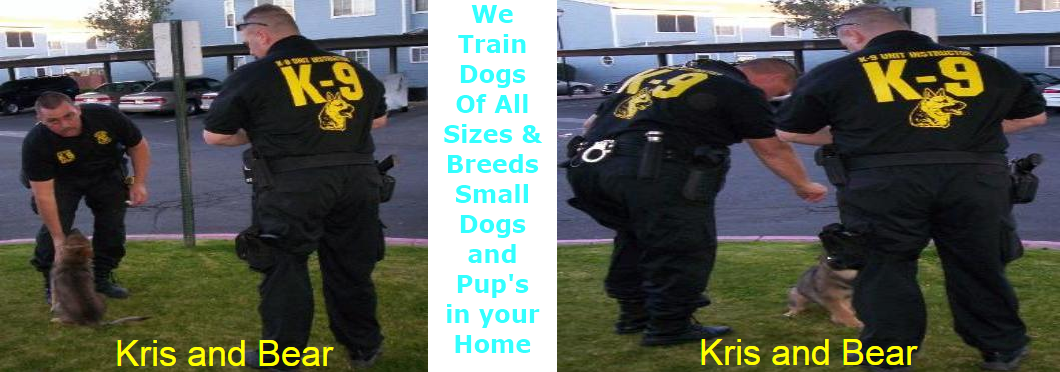 dog-train7