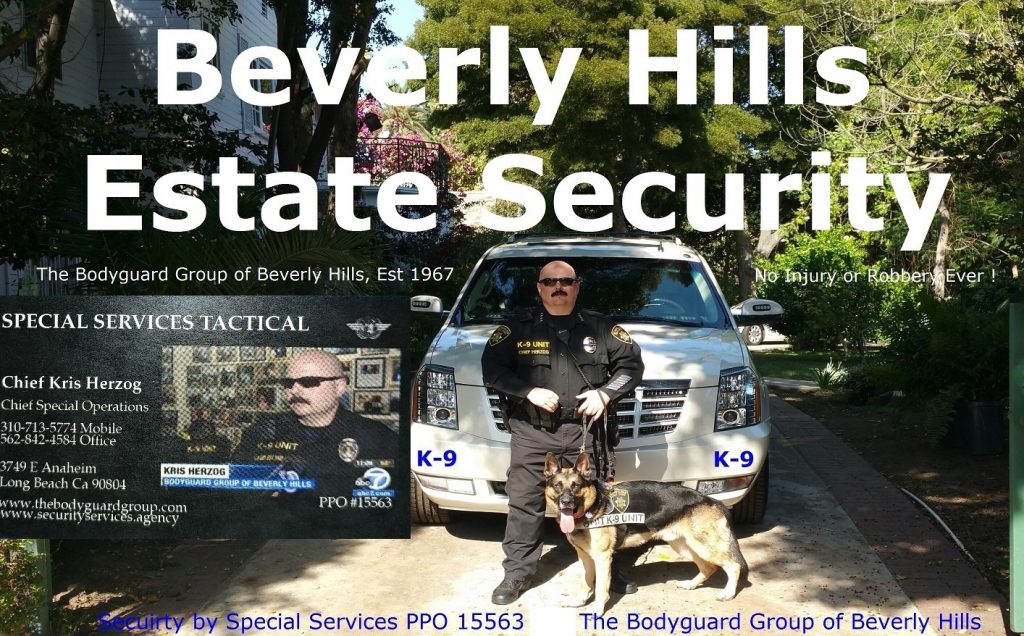 Beverly Hills estate security L.A. RIOTS 2020 The Bodyguard Group of Beverly HIlls and SST PPO 15563 90210 SECURITY