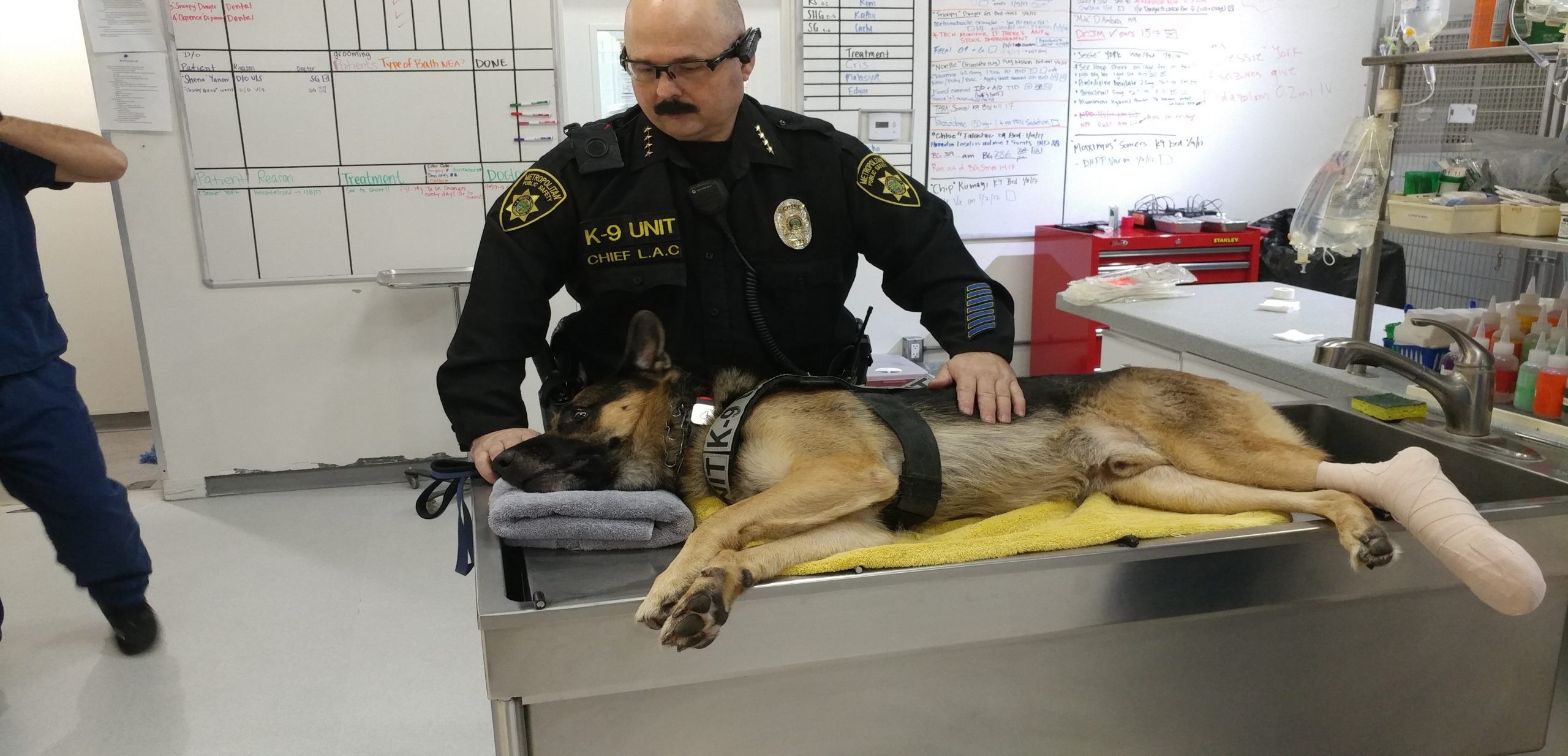 Kris Herzog Kris and Bear K-9 Unit The Bodyguard group of Beverly Hills security 90210