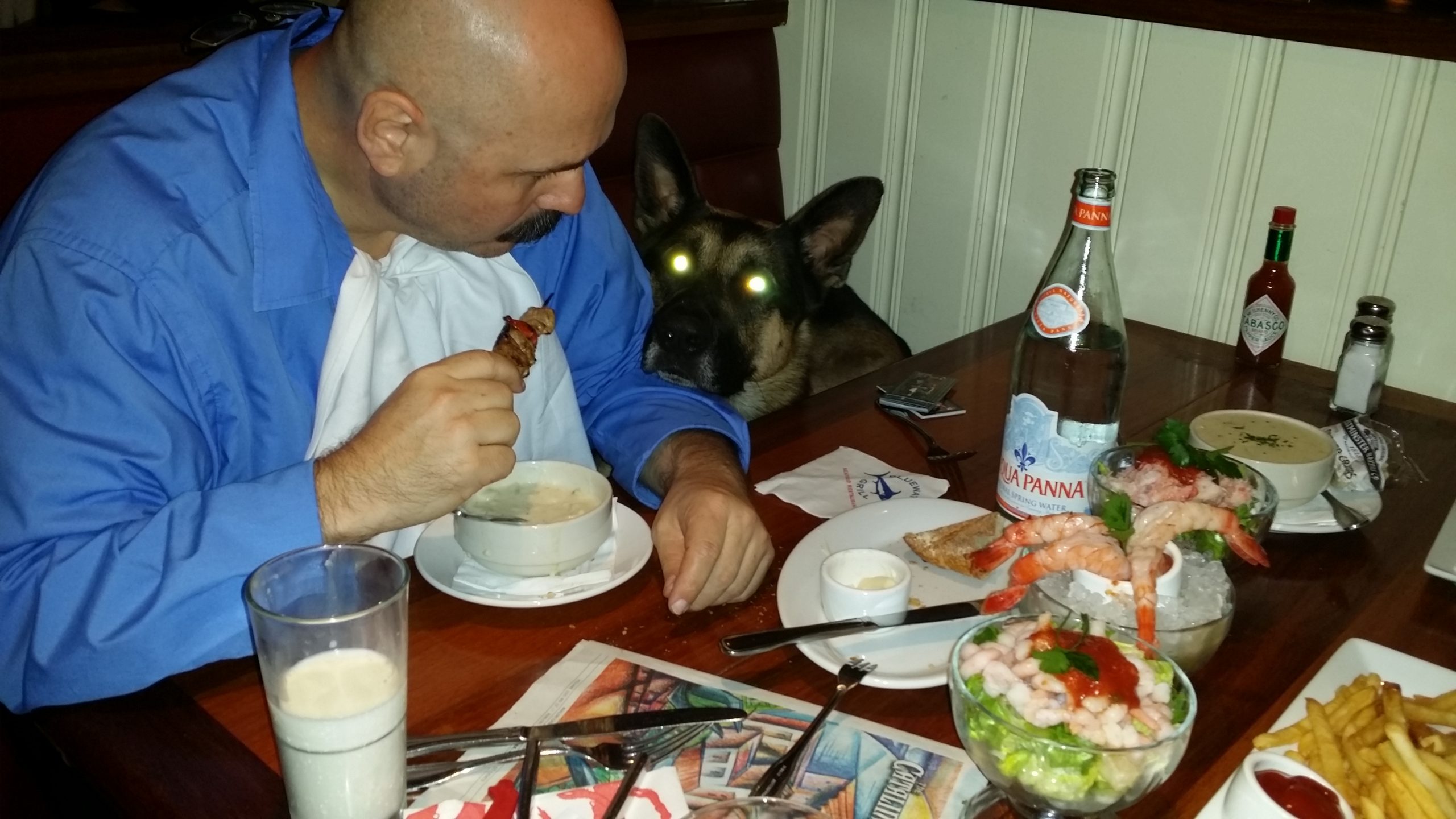 Kris Herzog Kris and Bear K-9 Unit The Bodyguard group of Beverly Hills security 90210