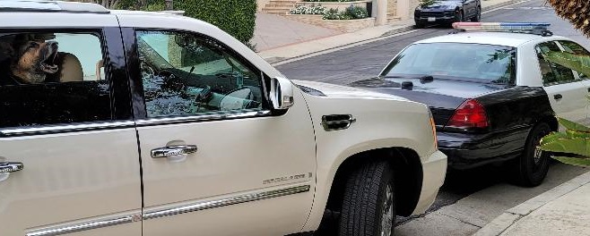 Beverly Hills security off duty POLICE The Bodyguard group of Beverly Hills armed security 90210 Los Angeles 2022