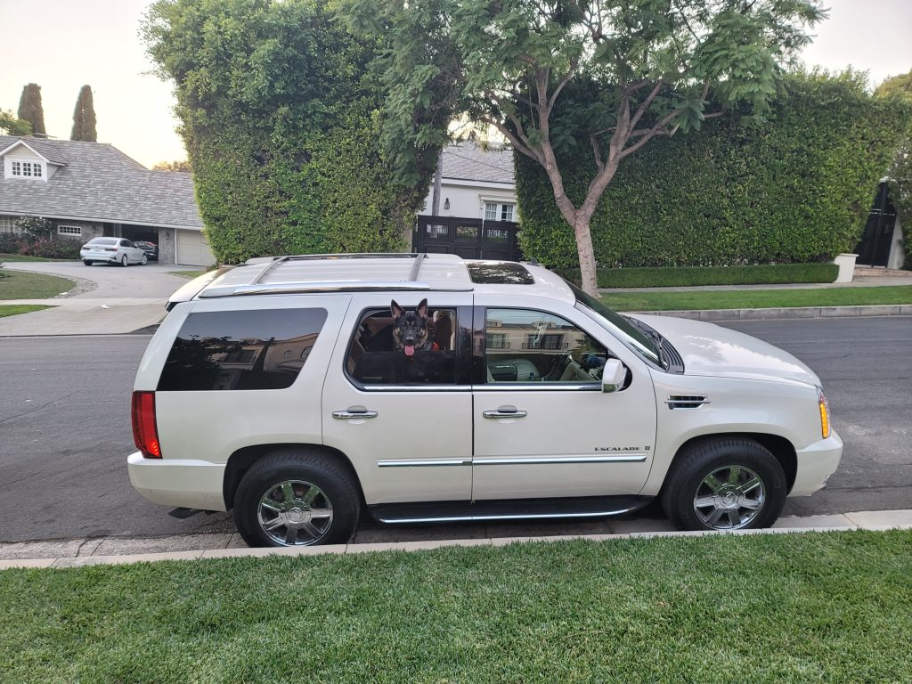2024 The Bodyguard Group of Beverly Hills off duty police officers estate security guards 90210 Los Angeles celebrity estate armed security police cars for sale police cars for rent
